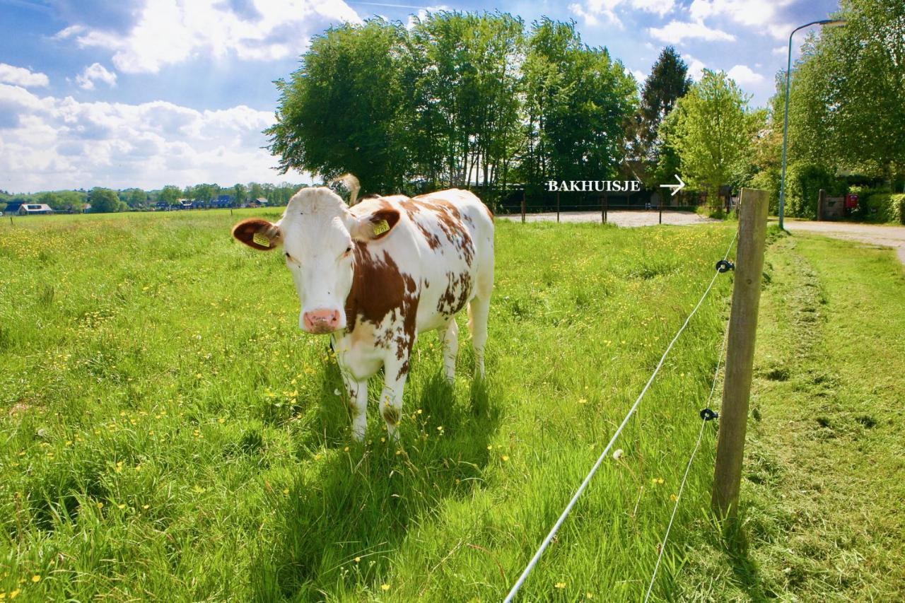 Bakhuisje Op De Veluwe Heerde Ngoại thất bức ảnh