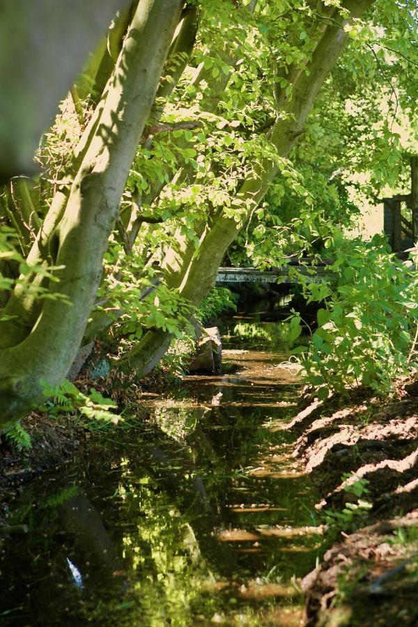 Bakhuisje Op De Veluwe Heerde Ngoại thất bức ảnh